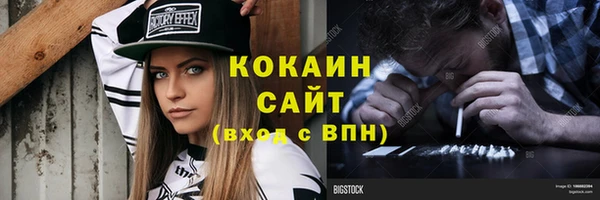 ПСИЛОЦИБИНОВЫЕ ГРИБЫ Заводоуковск