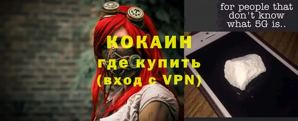 ПСИЛОЦИБИНОВЫЕ ГРИБЫ Заводоуковск