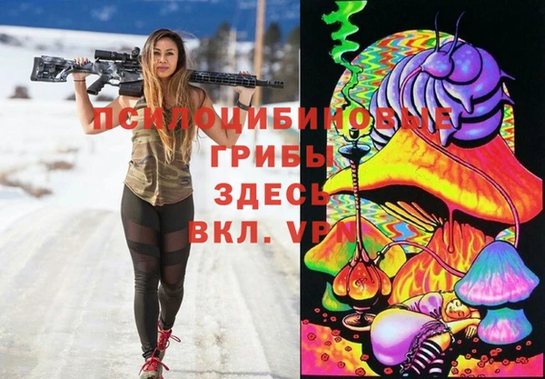 ПСИЛОЦИБИНОВЫЕ ГРИБЫ Заводоуковск