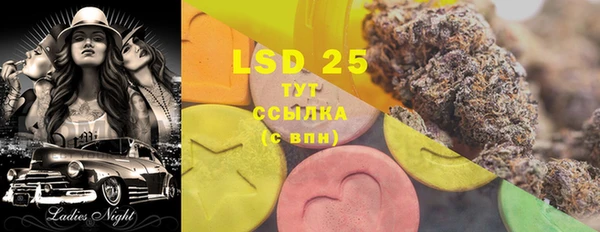 ПСИЛОЦИБИНОВЫЕ ГРИБЫ Заводоуковск