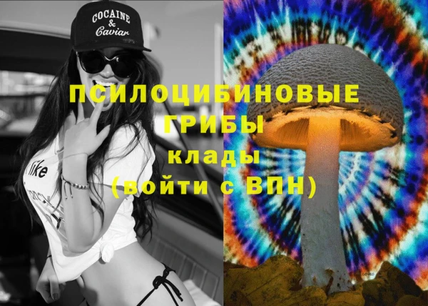 ECSTASY Заволжск